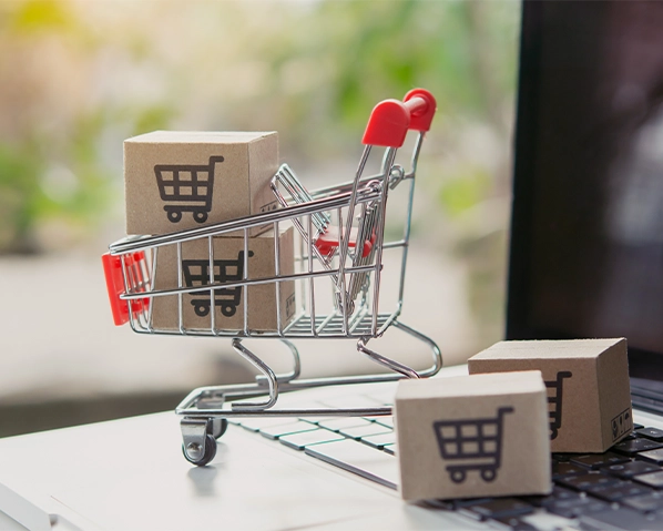 Powerful E-Commerce Solutions for Modern Businesses